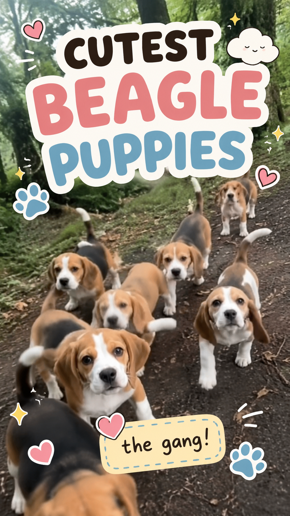 Cutest Beagle Puppies Ranked
