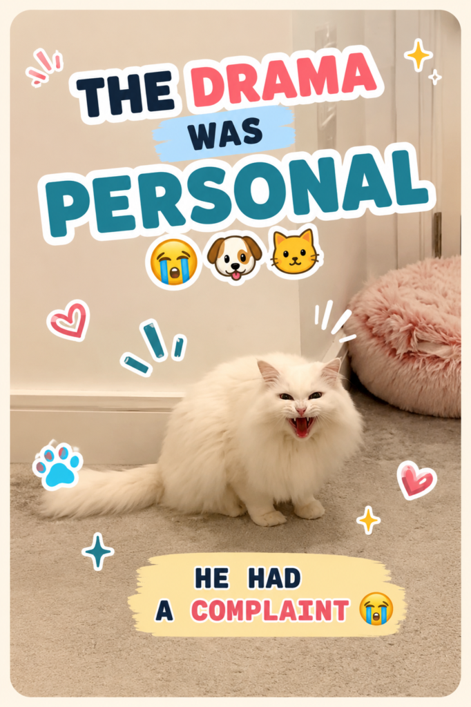 Fluffy white cat yelling dramatically in a hallway thumbnail for CloudyAww Daily Awws
