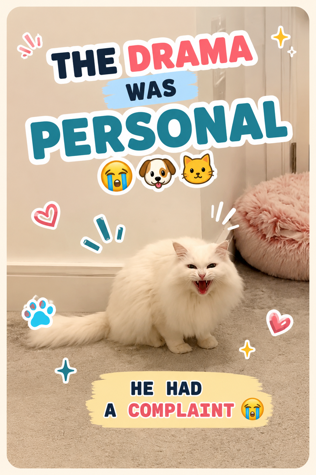 The Drama Was Personal 😭🐶🐱
