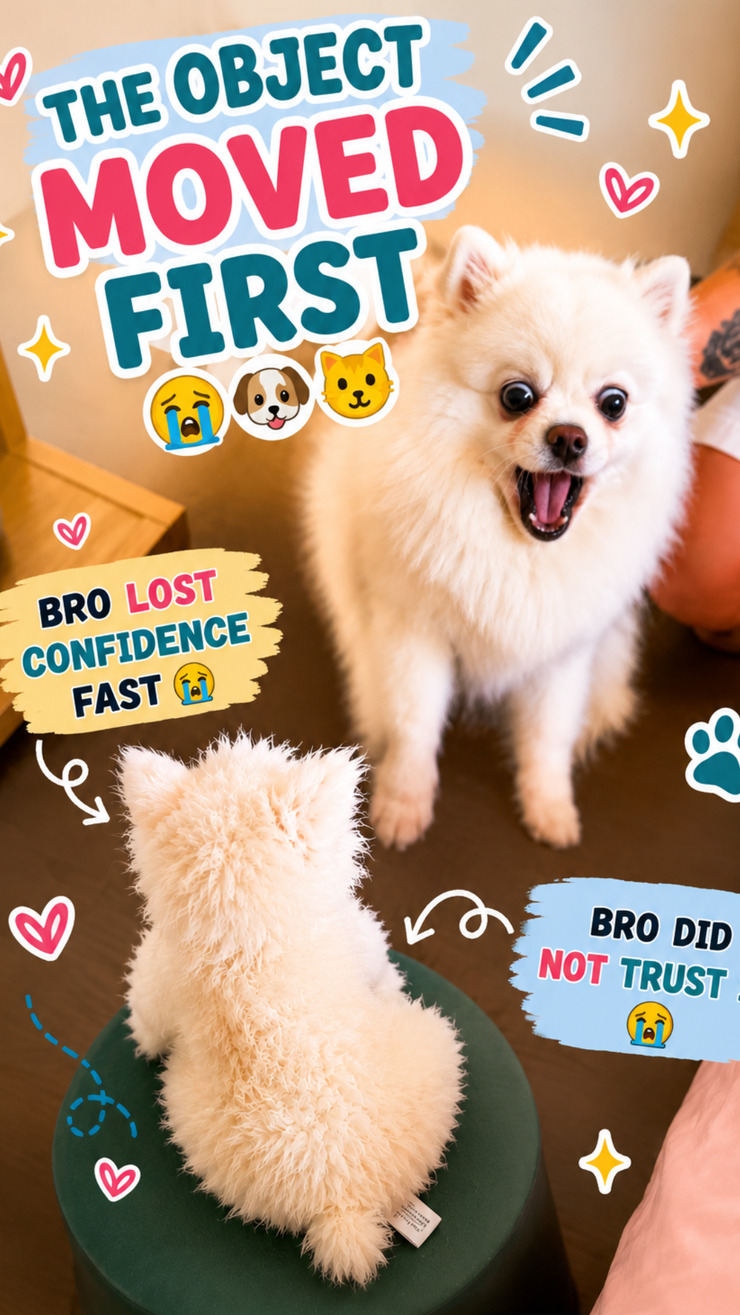 Pets Did NOT Trust These Objects 😭🐱🐶