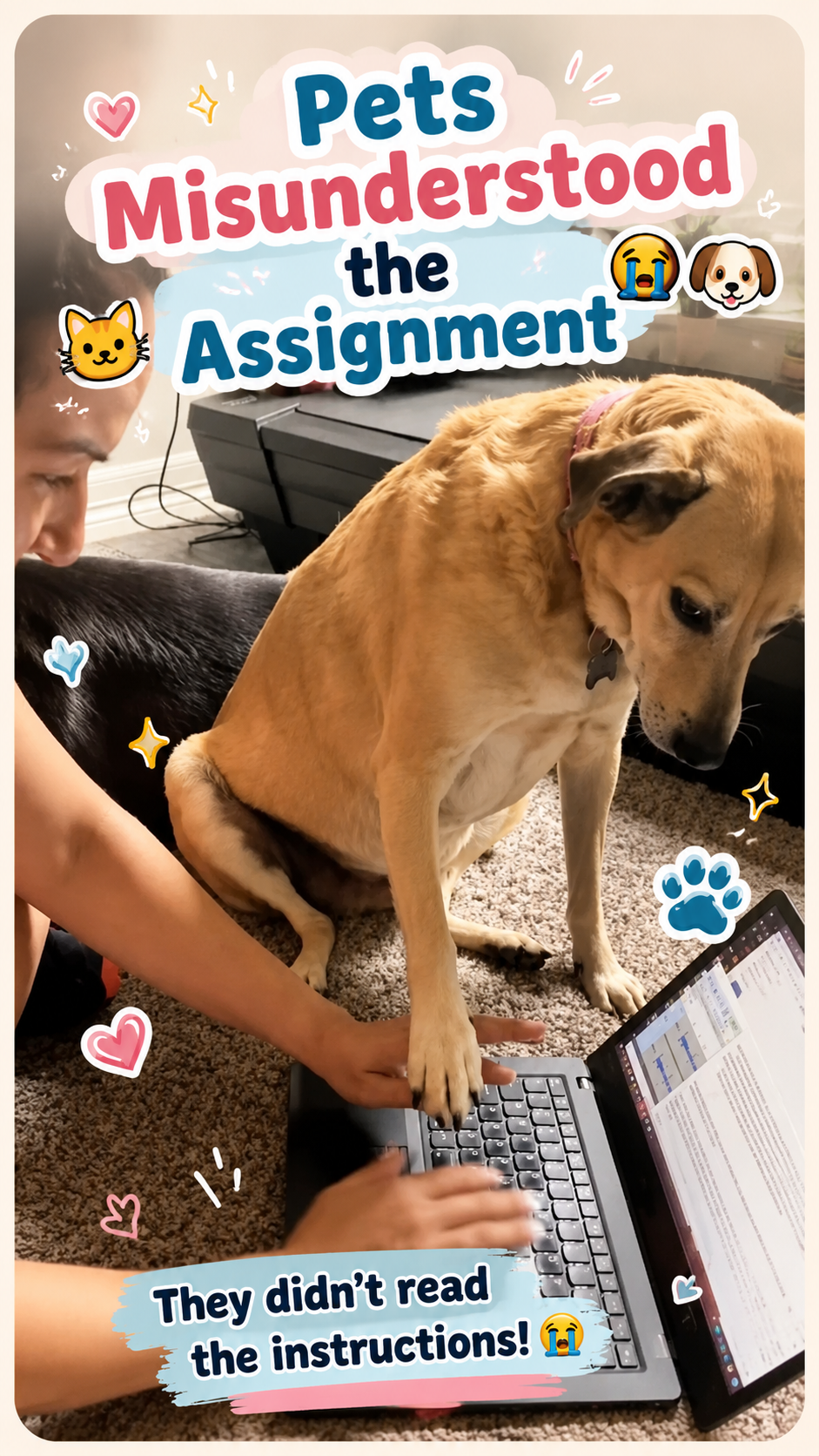 Pets Misunderstood the Assignment 😭🐶🐱