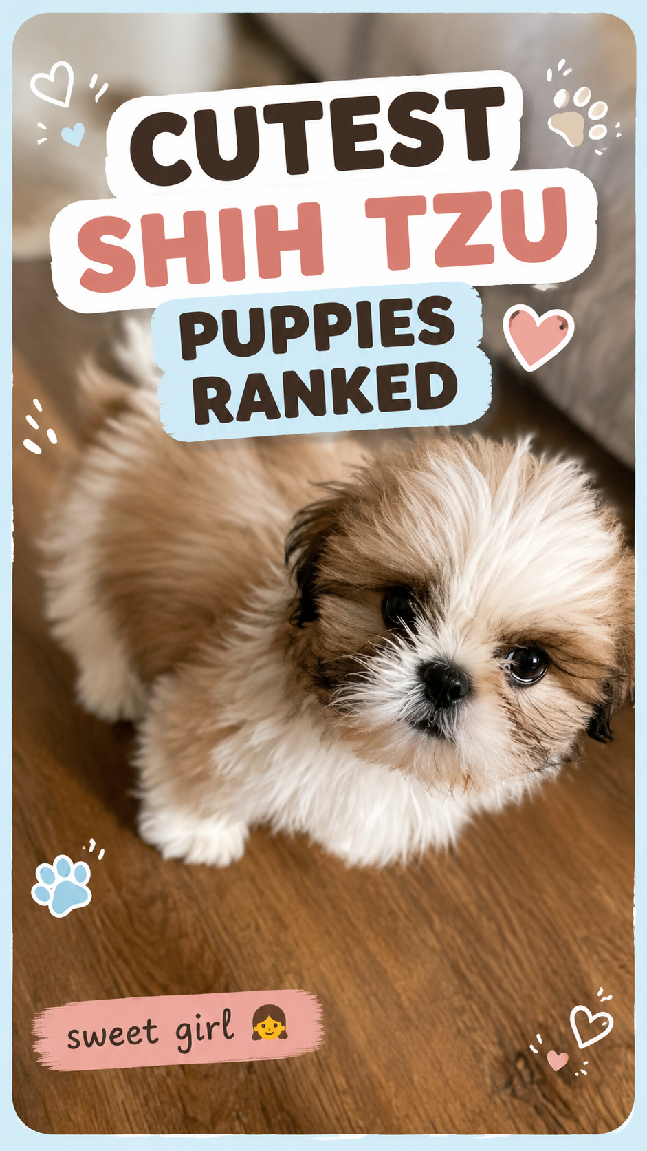 Cutest Shih Tzu Puppies Ranked 🐶💖 | Adorable Tiny Puppies