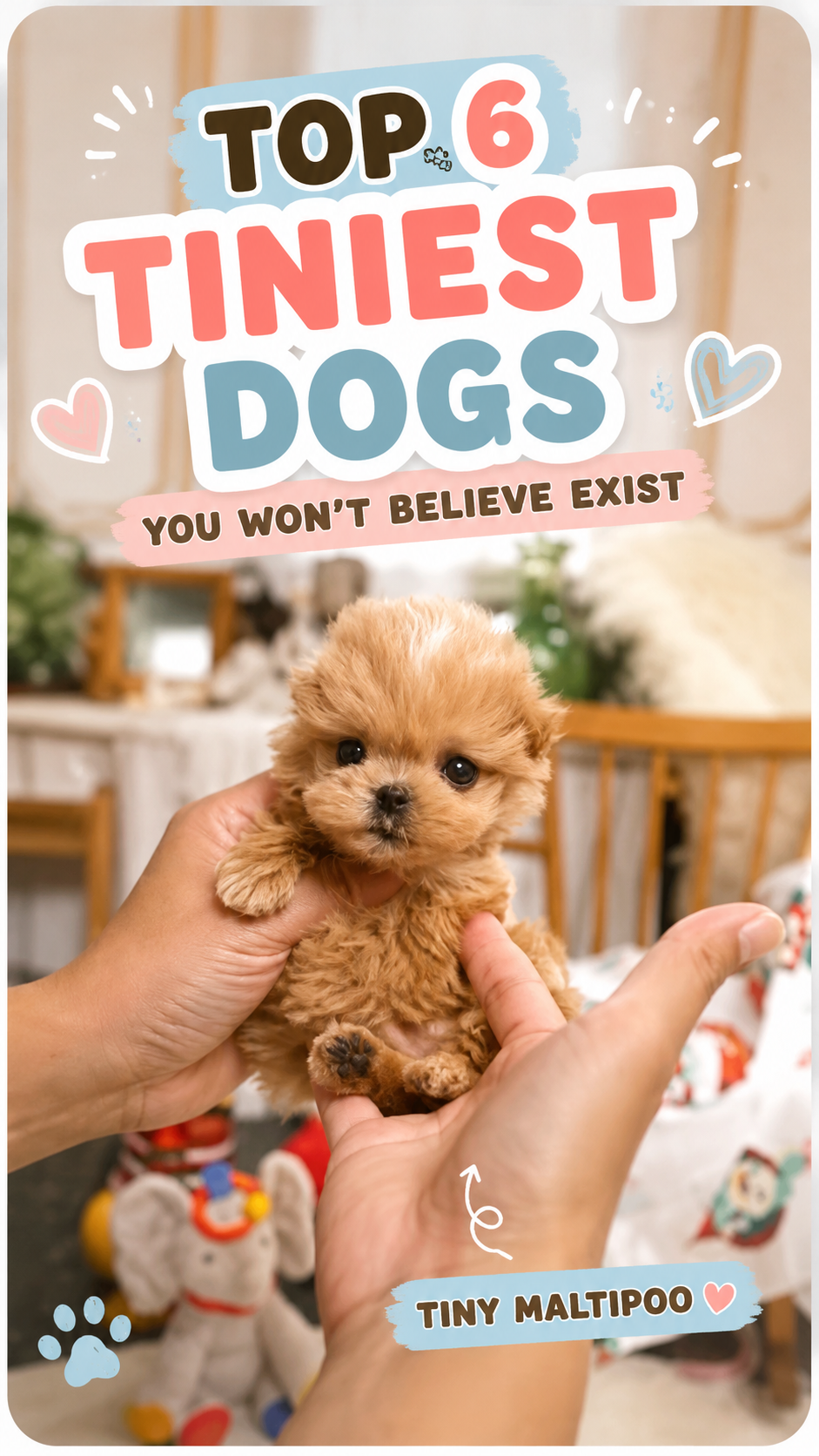 The Tiniest Dogs in the World 🐶🤏 (Too Cute!)