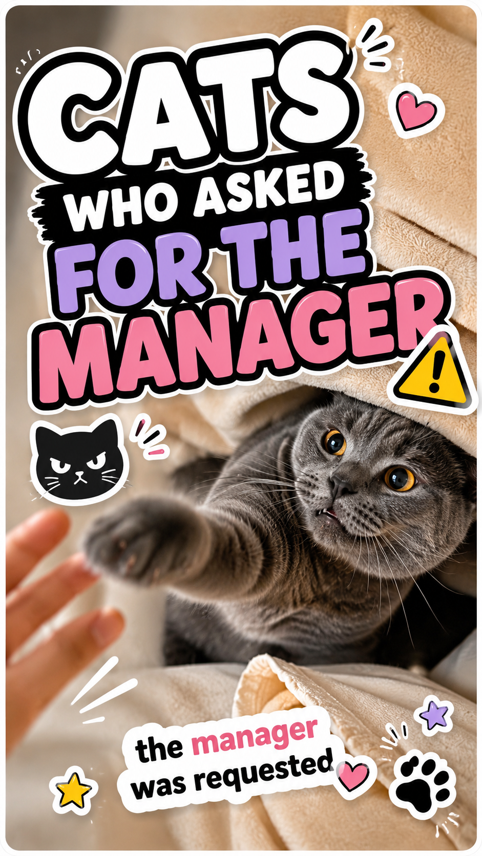 Cats Who Asked For The Manager πββ¬