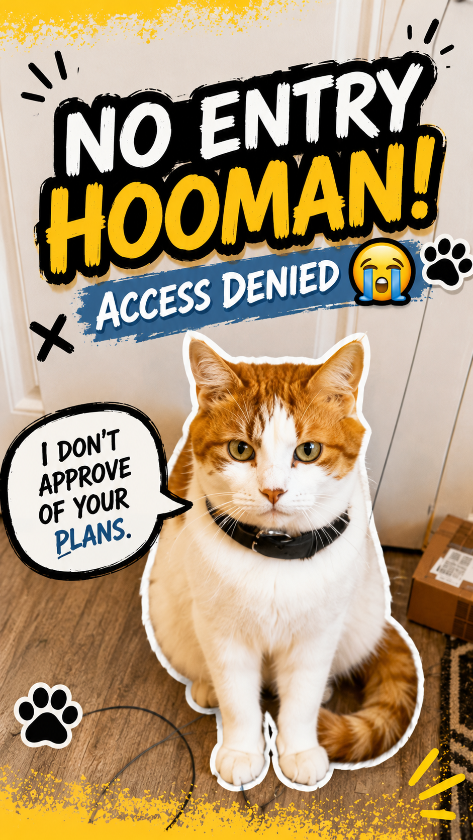 Access Was Denied 😭🐾