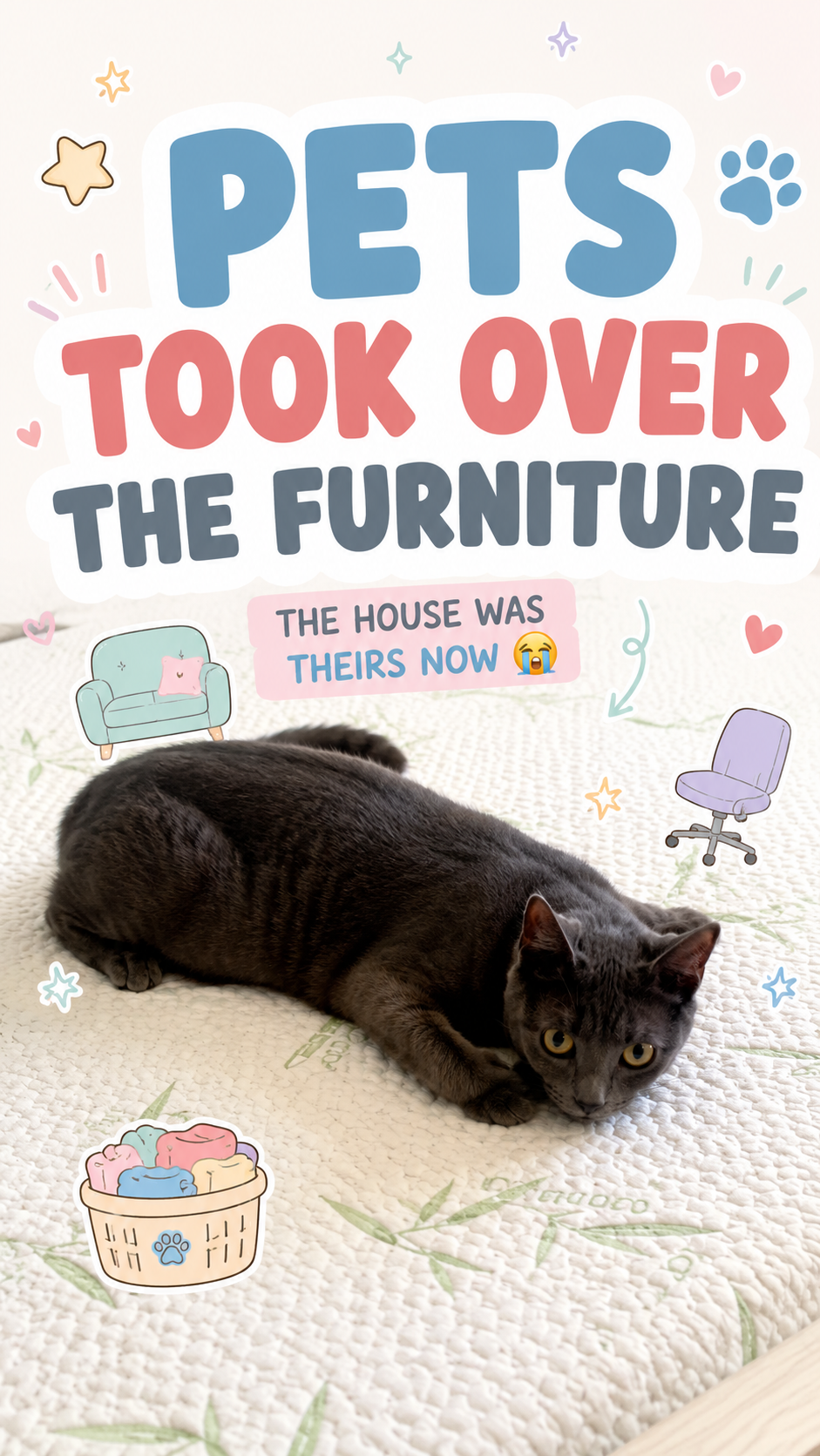 Pets Took Over the Furniture 😭🐾