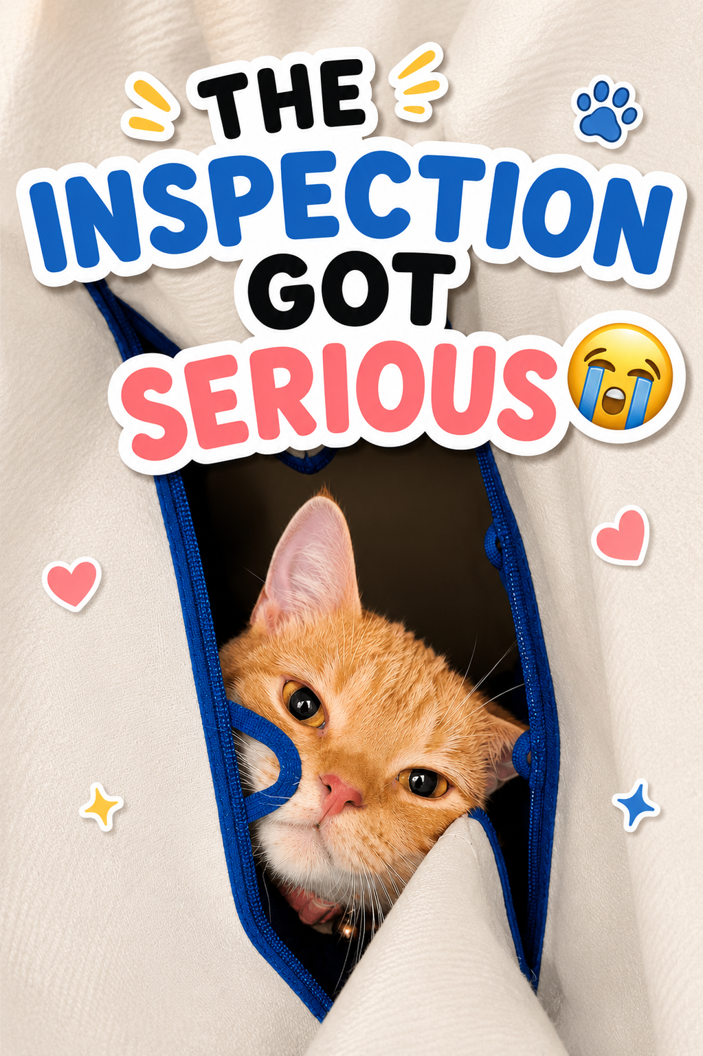 The Inspection Got Serious 😭🐾
