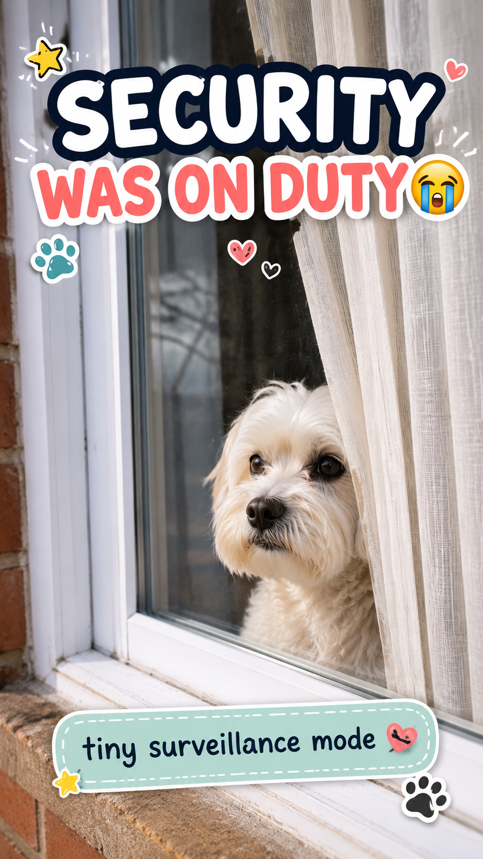 The Tiny Security Team Was On Duty 😭🐾 | Funny Dog Security Guard
