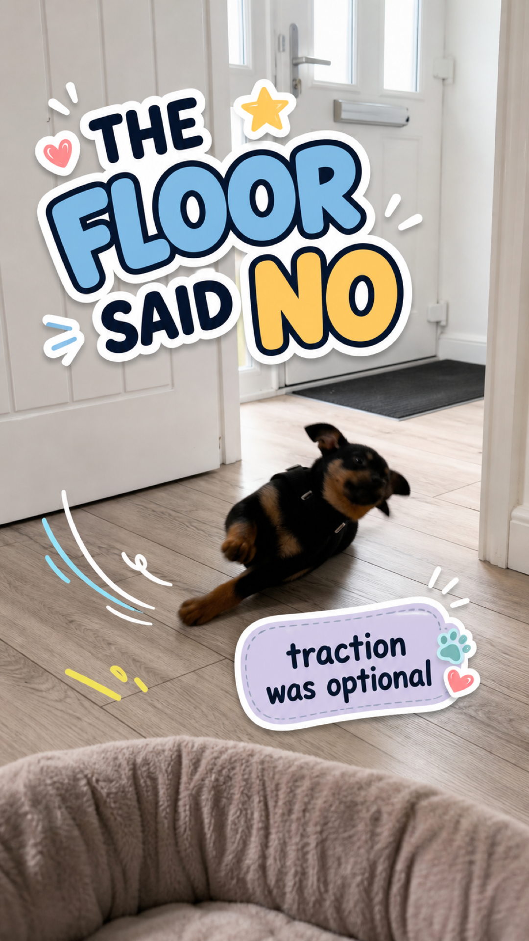 Vertical CloudyAww Daily Awws thumbnail for The Floor Said No showing a dog slipping on a smooth floor.