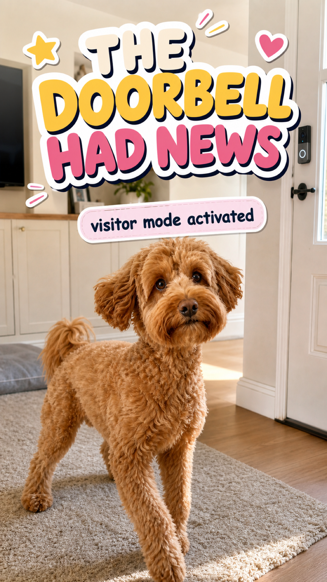 The Doorbell Had News 🛎️