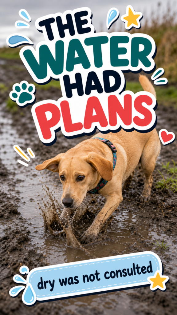 A tan dog splashes into a muddy puddle on a wet path, with playful CloudyAww sticker text saying "The Water Had Plans" and "dry was not consulted."