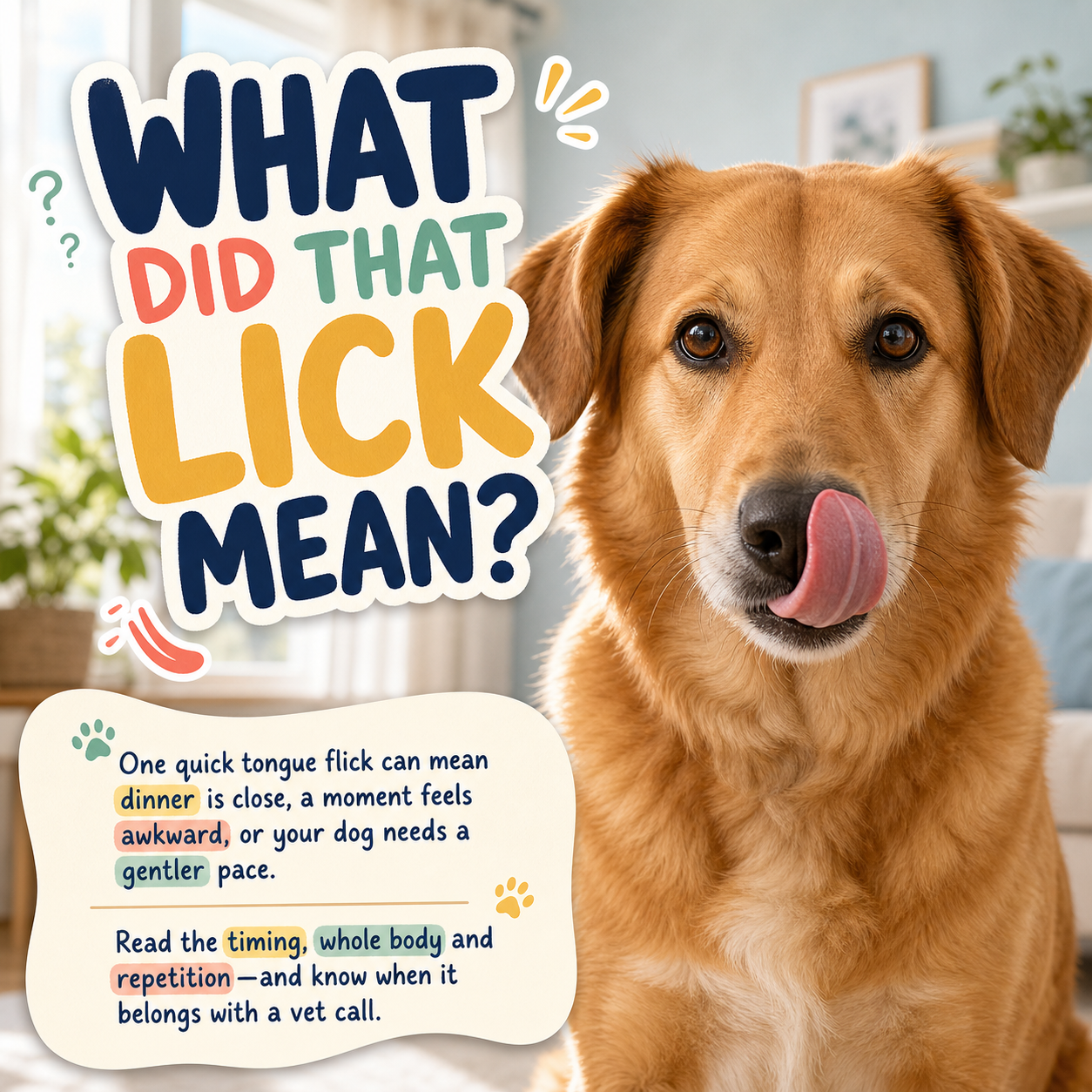 A Tiny Guide to Lip Licking in Dogs: Food, Uncertainty or “Please Slow Down”?