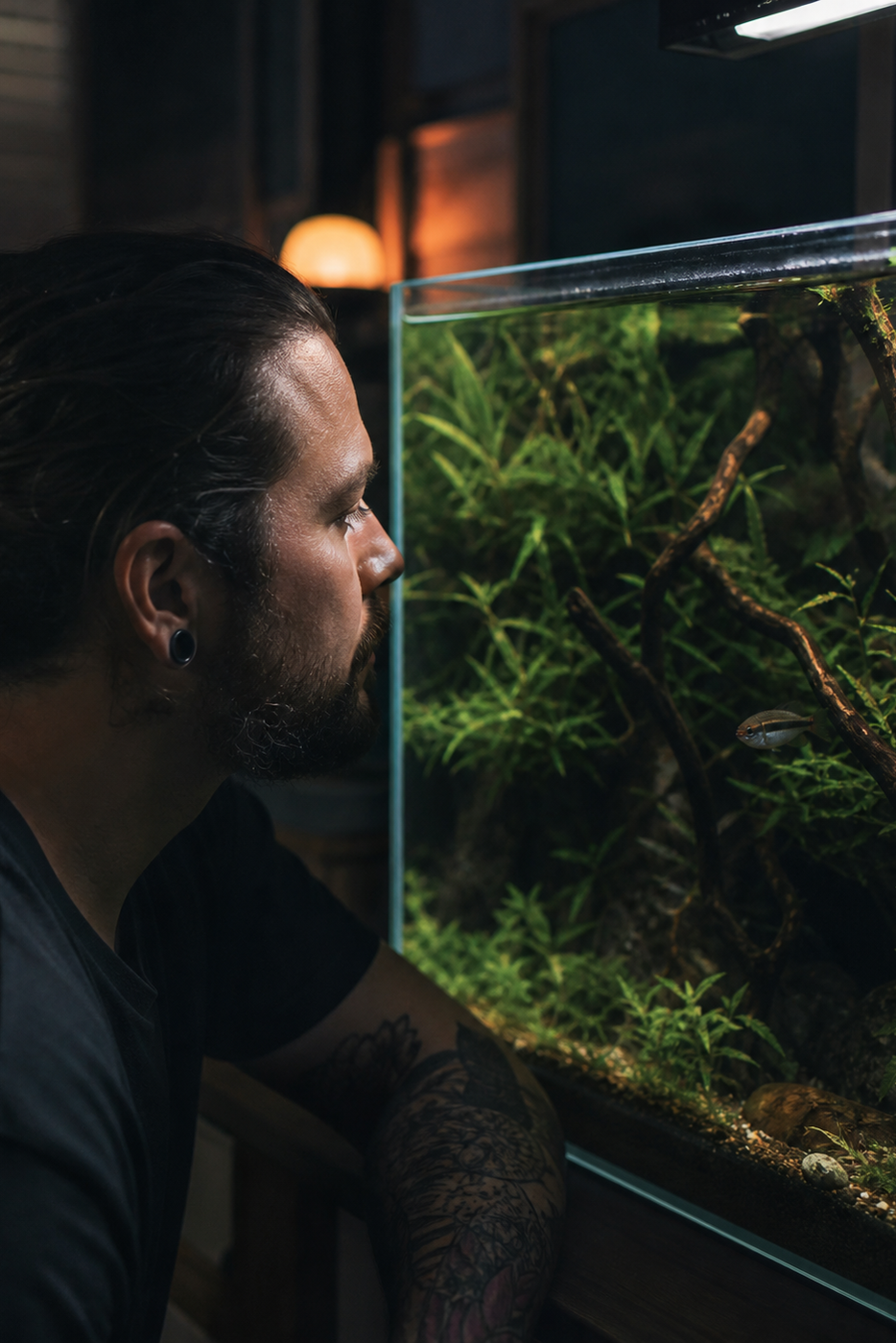 An aquarist quietly observes a fish near cover in a richly planted tank at dusk.